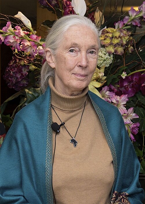 The Jane Goodall Institute (UK)